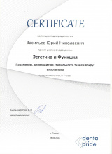 Васильев Юрий эстетика