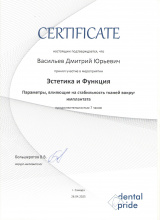 Васильев Дмитрий Эстетика